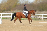 SBM_003400