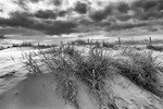 20141003-3K8A6368-3105