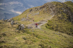 Newlands  TWA-1199