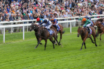 220824-Race 1-Celandine-7600