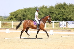 SBM_003722
