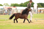 SBM_04441