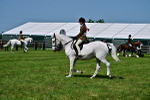 SBM_03742