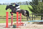 CLASS 8 FRI Senior Foxhunter/ 1.20m Open portfolio