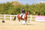SBM_011861