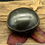 Polished Whitby Ammonite Nodule 038