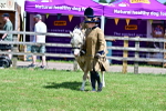 SBM_05935