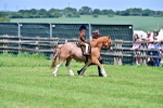SBM_05848