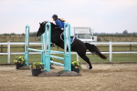 SBM_04288