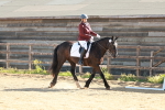 SBM_009278