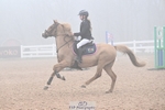 Cls 18 Pony Discovery and 90cm portfolio