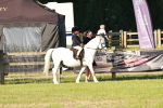 SBM_10989