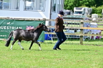 SBM_03429