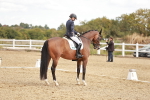 SBM_009575