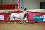 SBM_00245