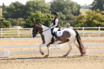 SBM_002798
