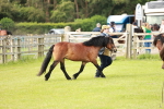 SBM_00535