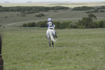 BVHT 140517  NXC -16