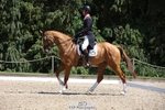 370-DUKE_LEGACY-William_Fox-Pitt-WEDTrotUp+DR portfolio