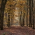 Towards the Sunlight
