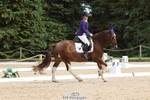 105-Natalie.Rosewarne-Penpont.Fancy.That portfolio
