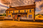 The Wild Duck