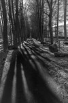 Langden Walk 01
