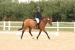 SBM_00976