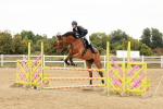 SBM_008907