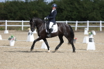 SBM_020331