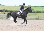 BPP_9296