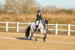 SBM_004717