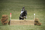 BVHT 140517  IXC -888