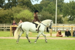 SBM_72013