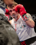 BOUT-9 - Rob Brehaut v William Annang-20