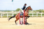 SBM_007586