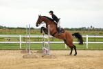 SBM_003718