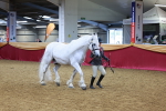 SBM_00321