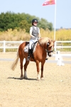SBM_009781