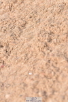230810A-093320-00096