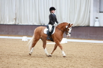 SBM_002264