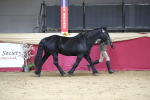 SBM_04969
