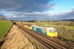 Lazonby portfolio
