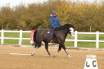 SBM_000668