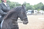 JAC_6297