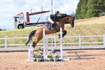 BPP_6016
