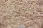 240621A-115724-00570