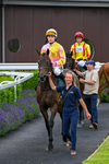 220626-Race 3-Battenburg Belle-8957