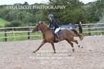 BPP_2013