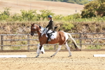 SBM_000794